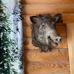 Blockhaus Rennsteig 別荘 *