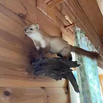 Blockhaus Rennsteig 別荘 *