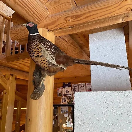 Blockhaus Rennsteig Casa vacanze