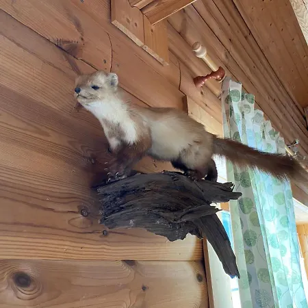 Blockhaus Rennsteig Prázdninový dům *