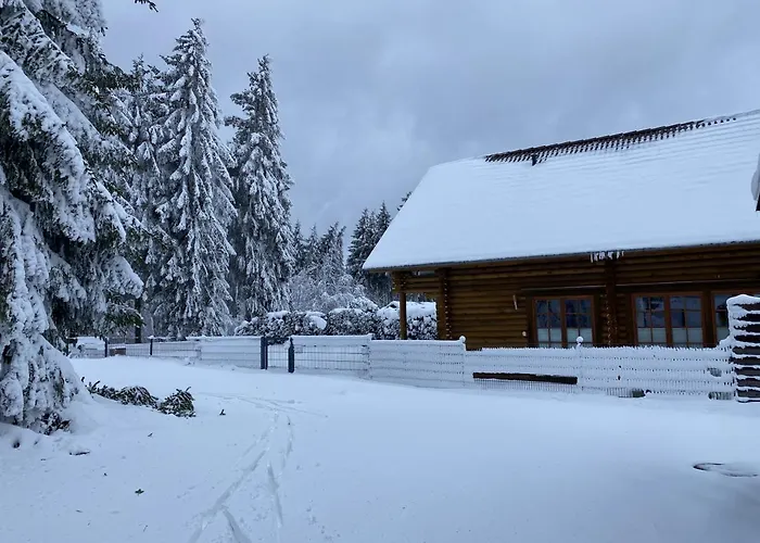Blockhaus Rennsteig ノイウハウス・アム・レンヴェーク