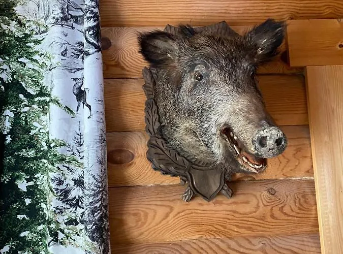 Blockhaus Rennsteig Casa de Férias *