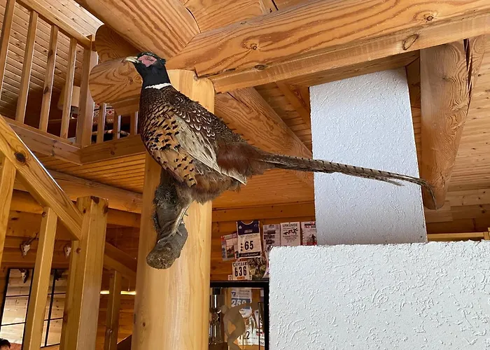 Blockhaus Rennsteig 別荘