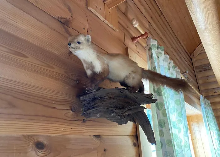 Blockhaus Rennsteig Сasa de vacaciones *